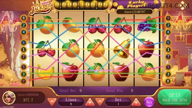 Login 186bet